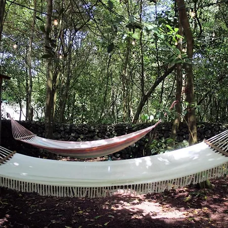 Azores Casa Da Mata Wellness アパート São Vicente Ferreira