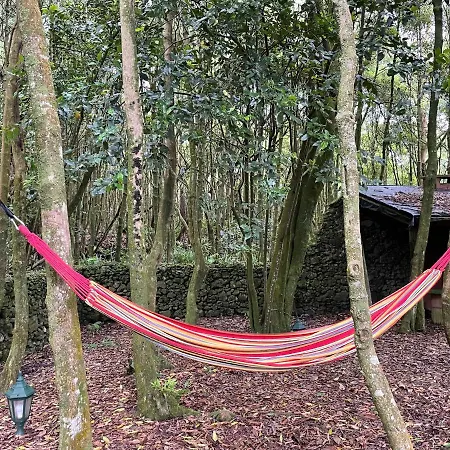アパート Azores Casa Da Mata Wellness