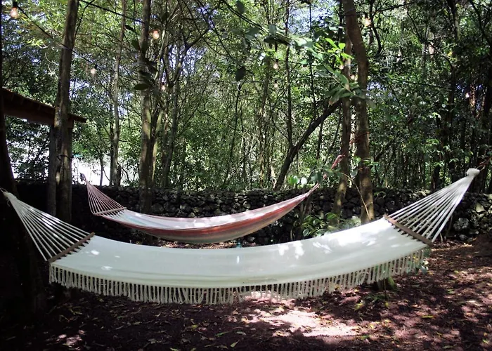 Azores Casa Da Mata Wellness Daire São Vicente Ferreira