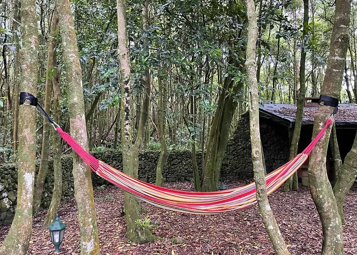 Daire Azores Casa Da Mata Wellness