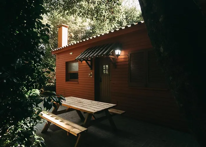 Daire Azores Casa Da Mata Wellness