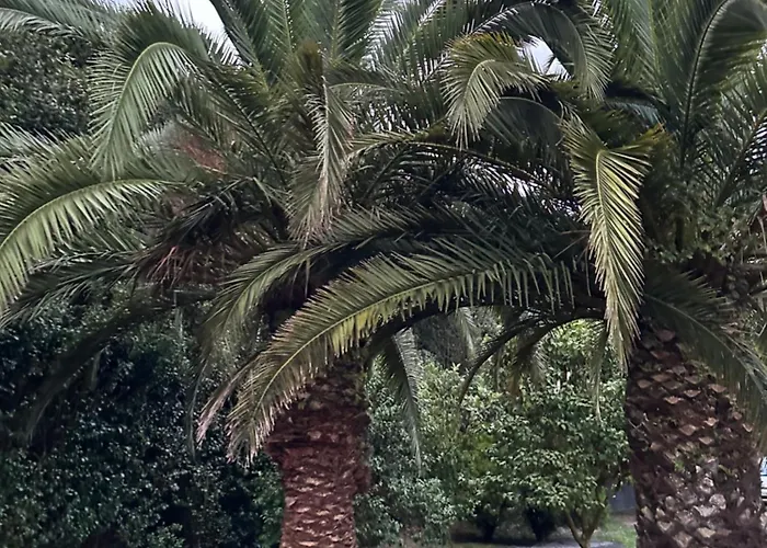 Azores Casa Da Mata Wellness