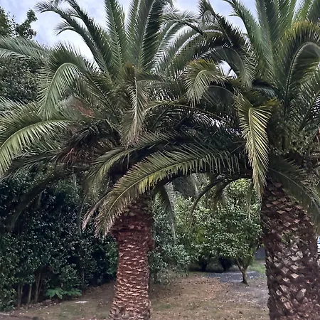 Azores Casa Da Mata Wellness